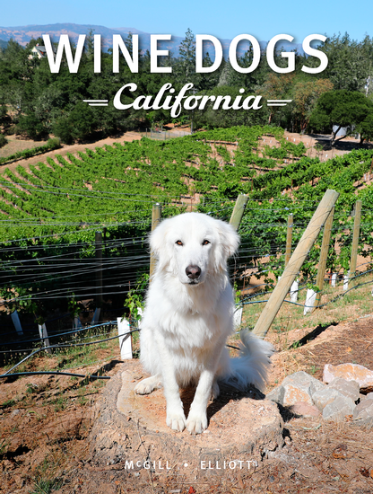 Wine Dogs California: Flambeaux Wine Limited Edition