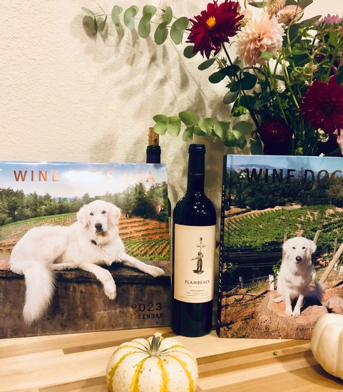 Guardian of the Vineyard Holiday Pack