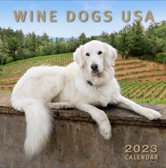 2023 Calendar - Wine Dogs