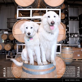 2026 Calendar - Wine Dogs