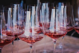 Rosé All Day Series