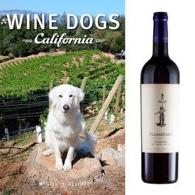 Guardian of the Vineyard: Wine & Book